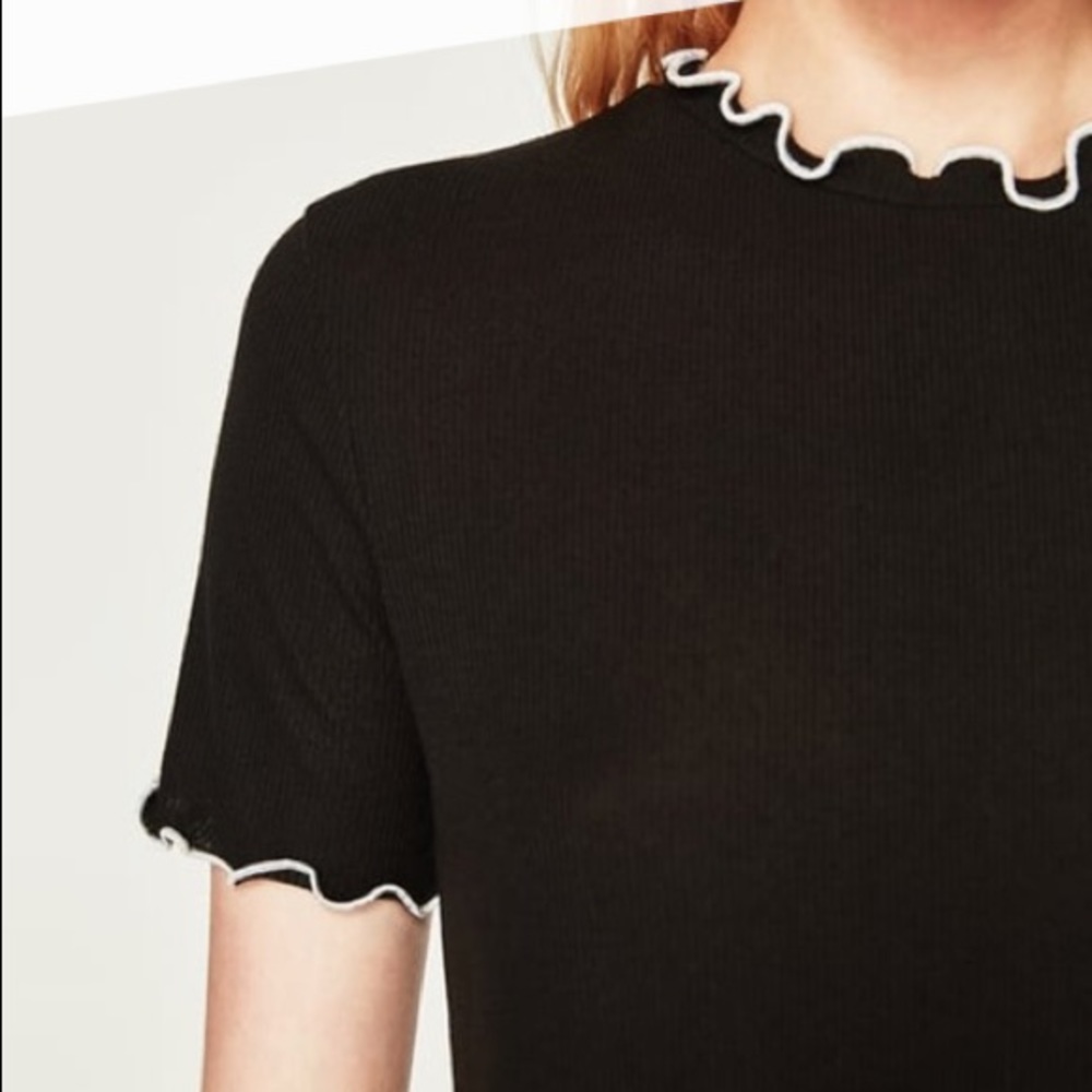 ZARA TRAFALUC SPRING SUMMER COLLECTION CROP TOP